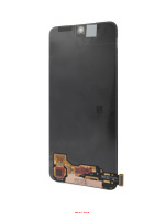 OL118196(2) OL118196(2)